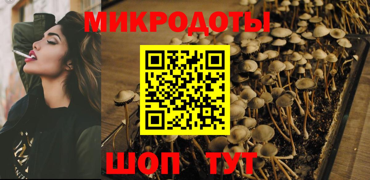 Псилоцибиновые грибы Magic Shrooms  Галлюциногенные грибы Magic Shrooms  Вход с VPN  Урюпинск 